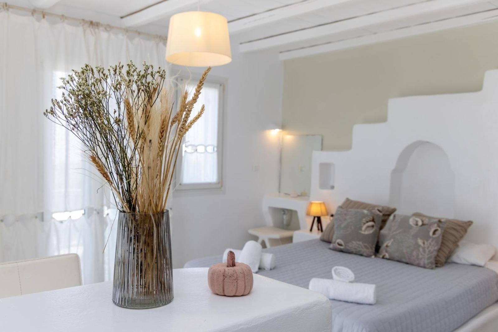 Soulmate'S Suites Tinos Kionia Exteriér fotografie